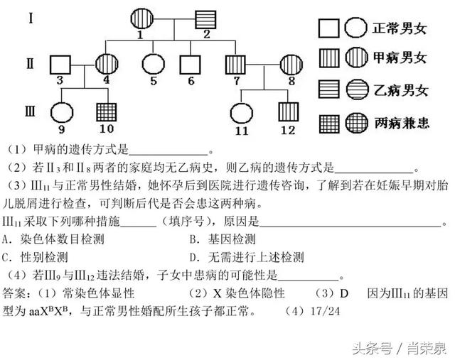 【高中生物】高一下：遗传规律题例题及其解题技巧！