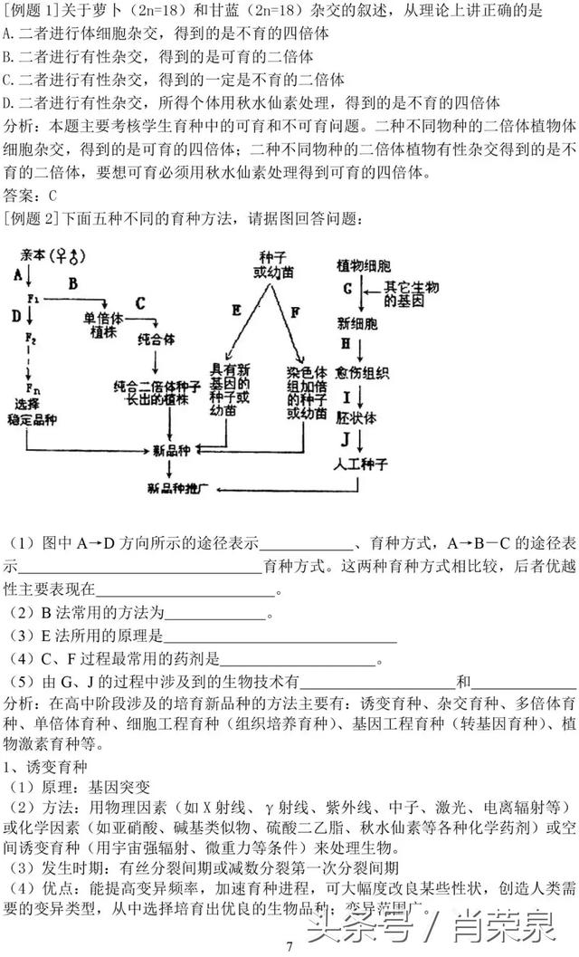 【高中生物】高一下：遗传规律题例题及其解题技巧！