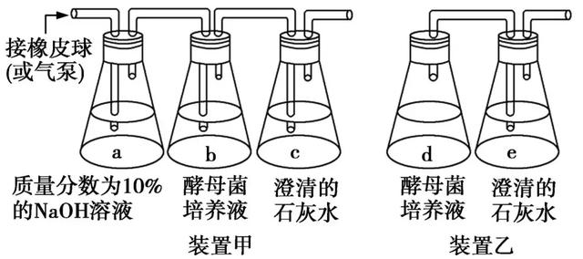 高考生物探究题攻略：酵母菌细胞呼吸方式实验及拓展