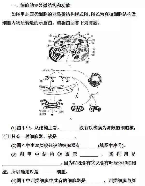 高中生物 | 必修十大知识点（可打印）