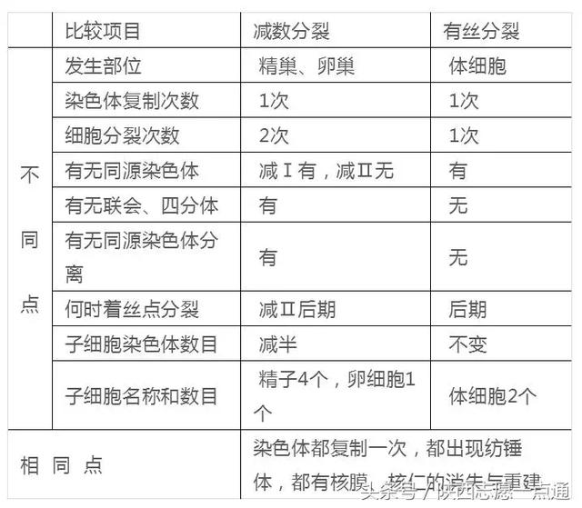 高考生物：17条重要知识帮你吃透减数分裂