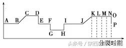 高考生物：17条重要知识帮你吃透减数分裂