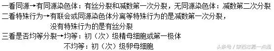 高考生物：17条重要知识帮你吃透减数分裂