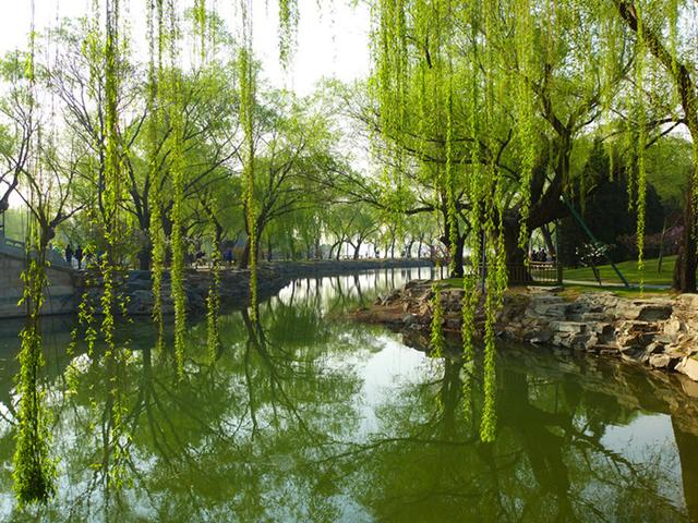 小楼一夜听春雨  关于春雨的古诗词 宝妈们都收藏好了