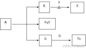 高考练习-化合物推断题以及实验设计与探究附评分标准