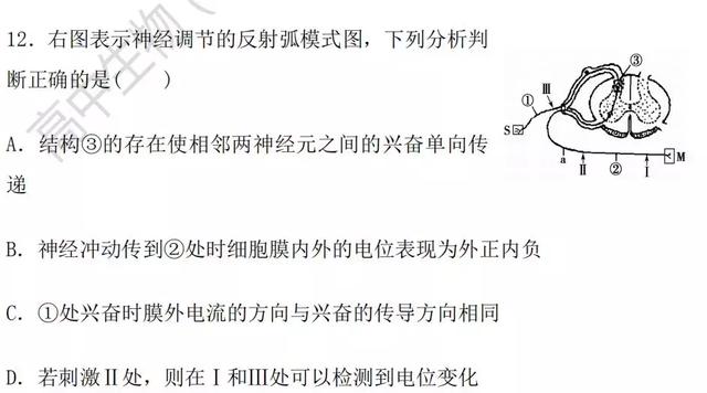 生物神经调节基础知识汇总（附练习题）