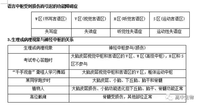 生物神经调节基础知识汇总（附练习题）