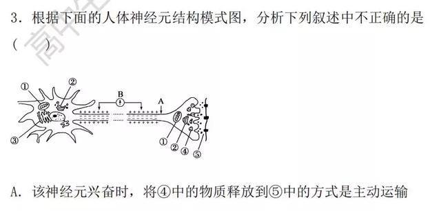 生物神经调节基础知识汇总（附练习题）