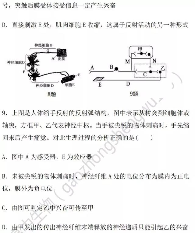 生物神经调节基础知识汇总（附练习题）