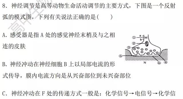 生物神经调节基础知识汇总（附练习题）