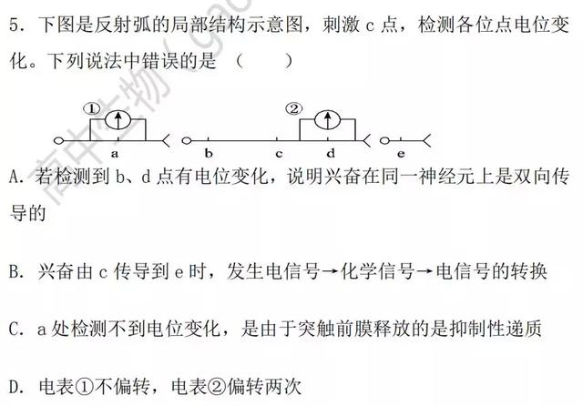 生物神经调节基础知识汇总（附练习题）