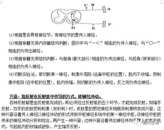 生物神经调节基础知识汇总（附练习题）