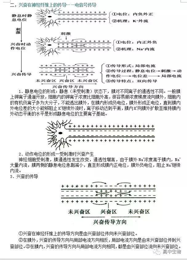 生物神经调节基础知识汇总（附练习题）