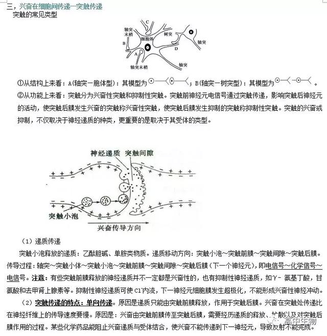 生物神经调节基础知识汇总（附练习题）