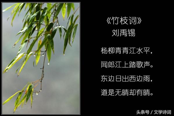 好雨知时节|飘进唐诗宋词里的“雨”，带“雨”的诗词你知道多少