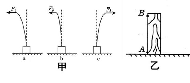 初二物理下册学案：7-1 知识点3 力的三要素