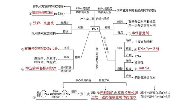 高考生物探究DNA遗传物质转化实验，从点到圆全面掌握出题难点