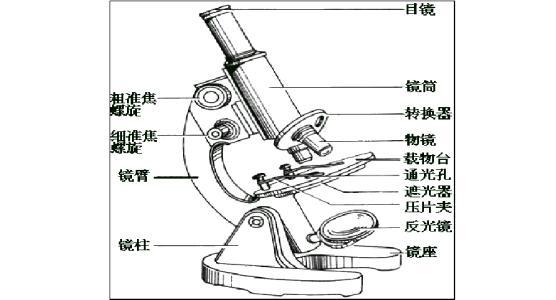 决胜中考：显微镜和望远镜的结构和原理，中考生必备知识大全