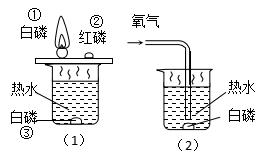 中考化学燃料及其应用专题复习，超详细知识点汇总，中考复习必备