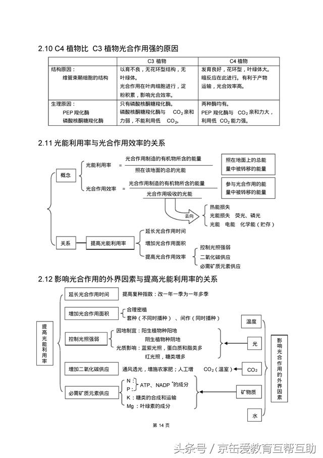 高考生物总复习（宇宙超级无敌全版）