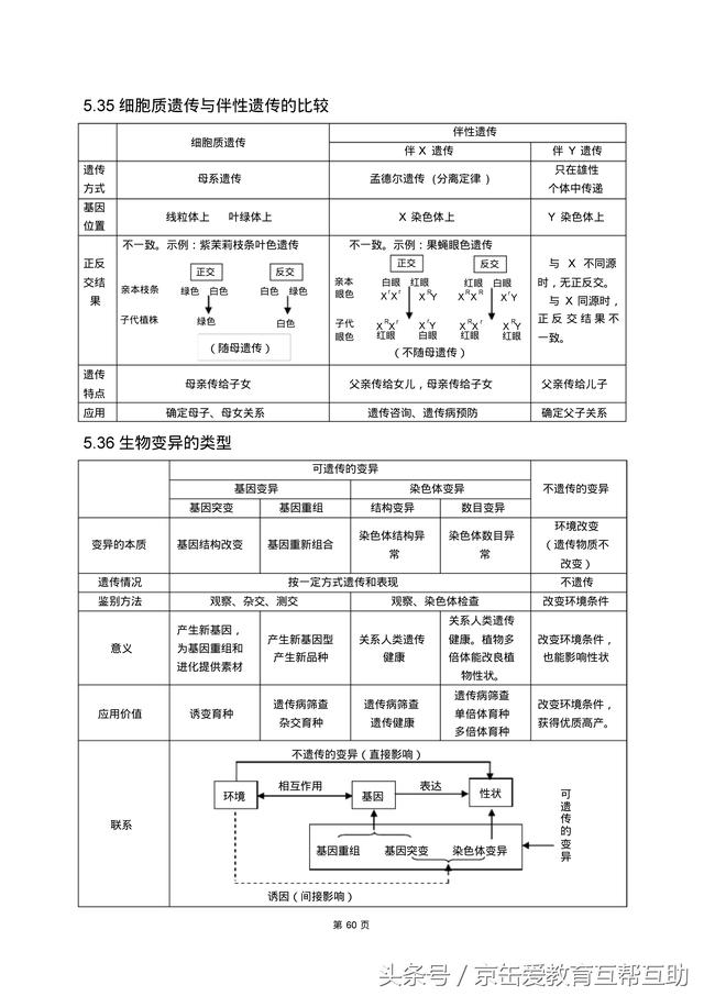 高考生物总复习（宇宙超级无敌全版）