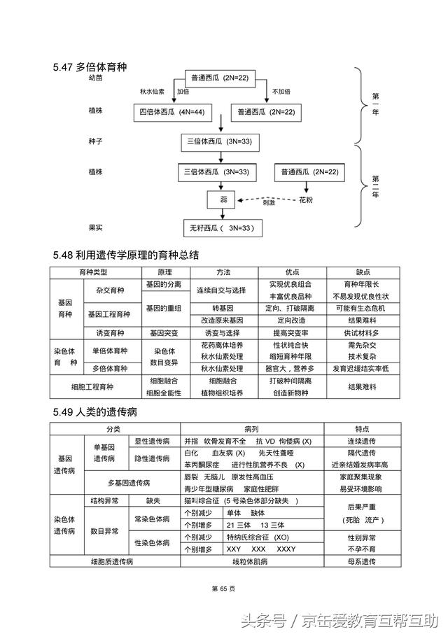 高考生物总复习（宇宙超级无敌全版）