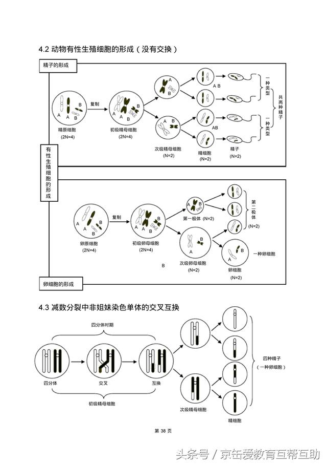 高考生物总复习（宇宙超级无敌全版）