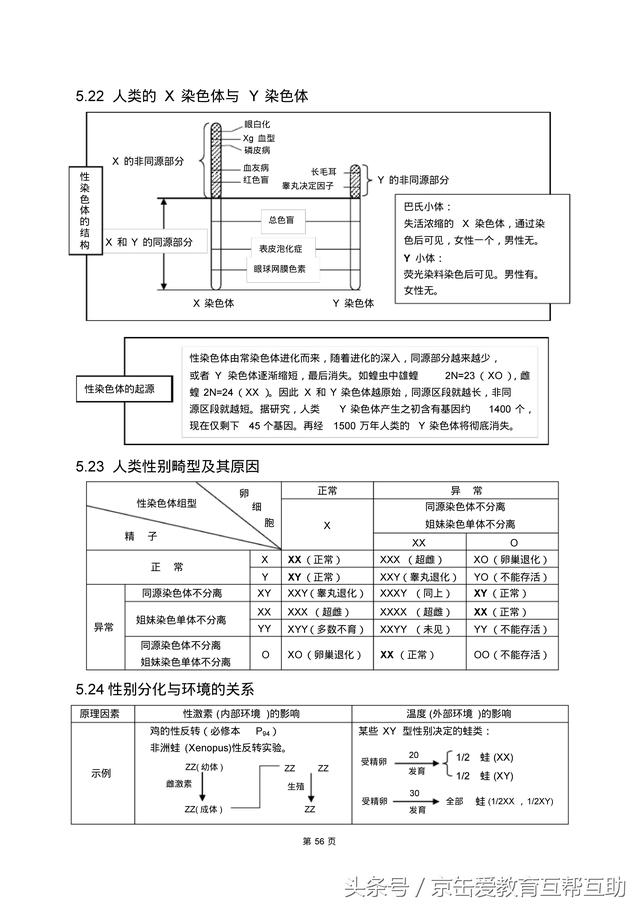 高考生物总复习（宇宙超级无敌全版）