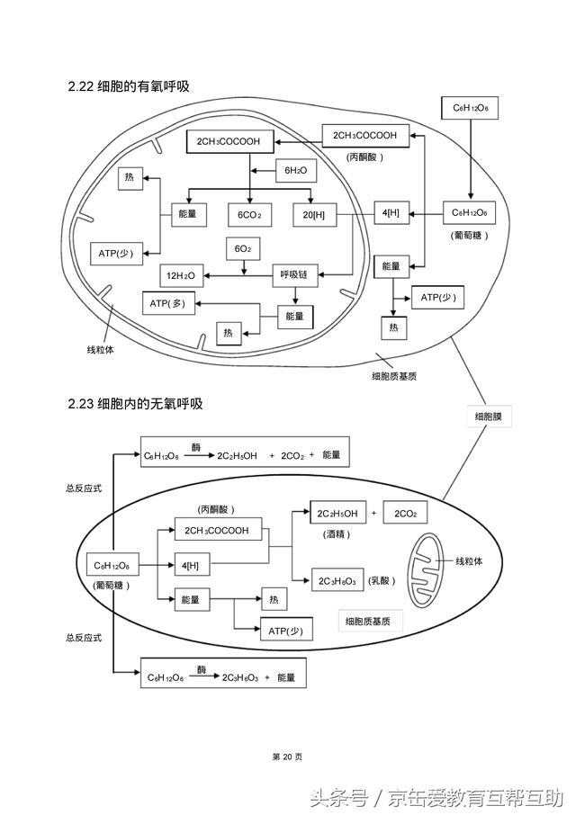 高考生物总复习（宇宙超级无敌全版）