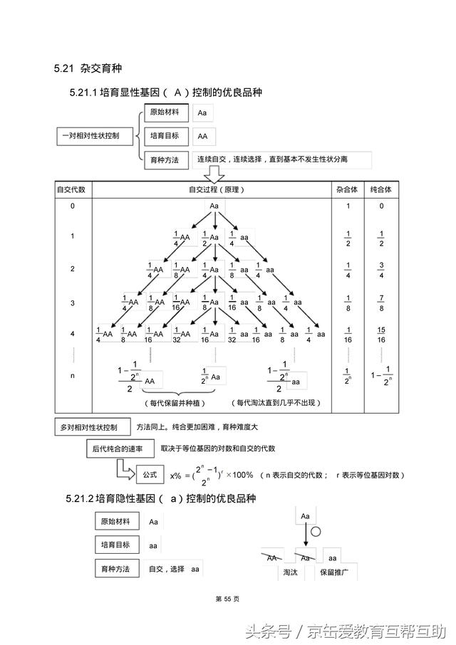 高考生物总复习（宇宙超级无敌全版）