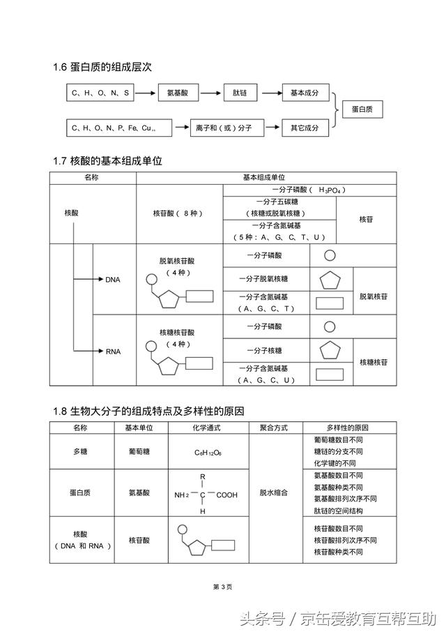 高考生物总复习（宇宙超级无敌全版）