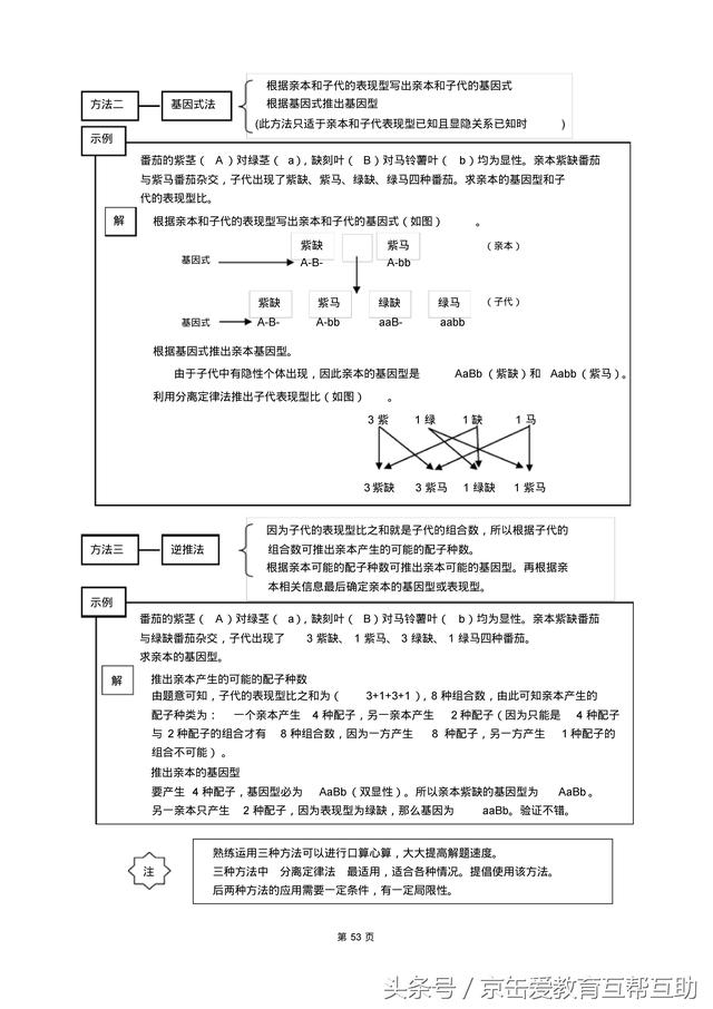 高考生物总复习（宇宙超级无敌全版）
