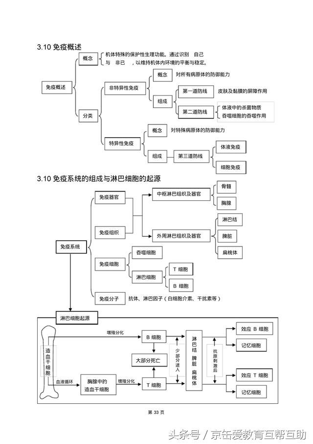 高考生物总复习（宇宙超级无敌全版）