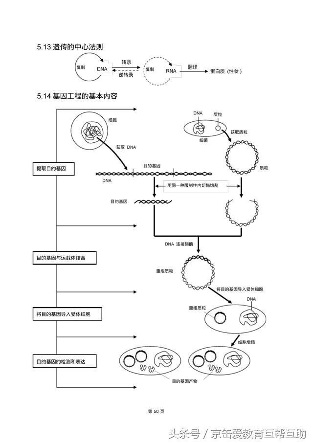 高考生物总复习（宇宙超级无敌全版）