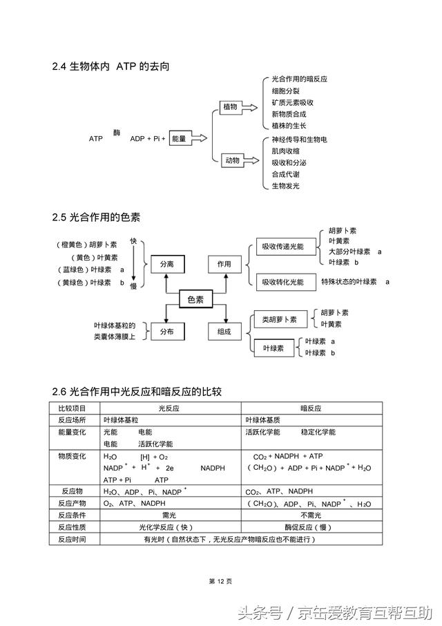 高考生物总复习（宇宙超级无敌全版）