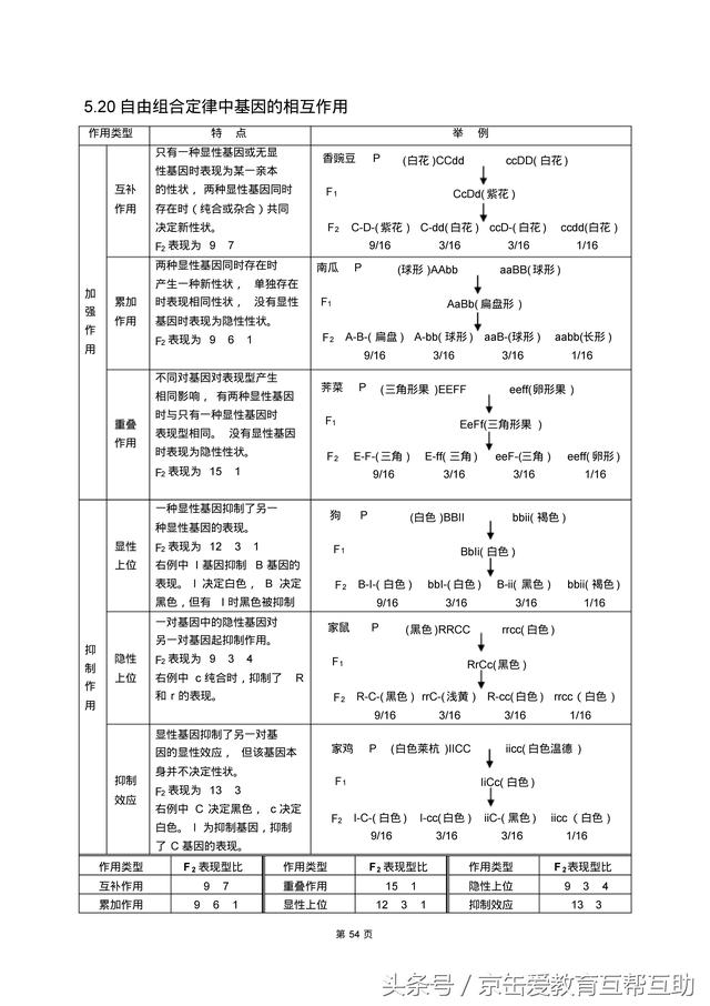 高考生物总复习（宇宙超级无敌全版）