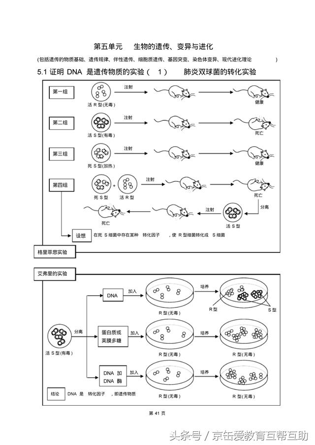 高考生物总复习（宇宙超级无敌全版）