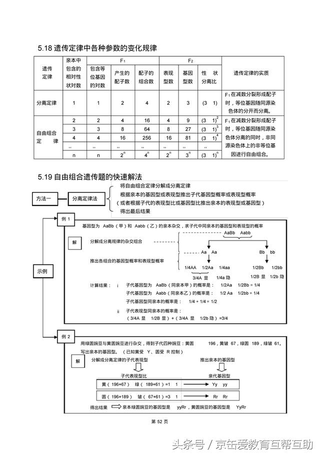 高考生物总复习（宇宙超级无敌全版）