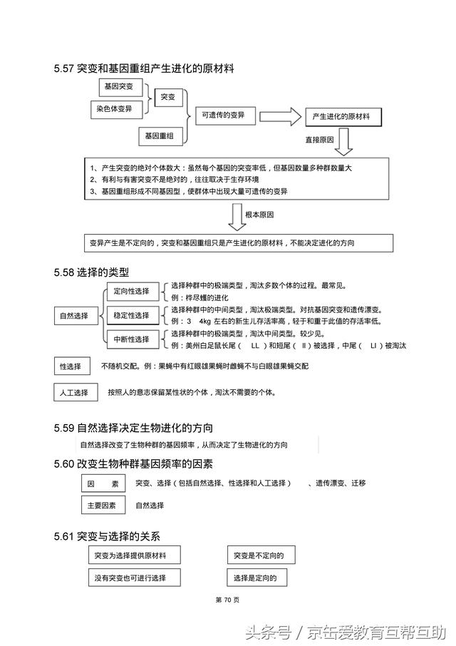 高考生物总复习（宇宙超级无敌全版）