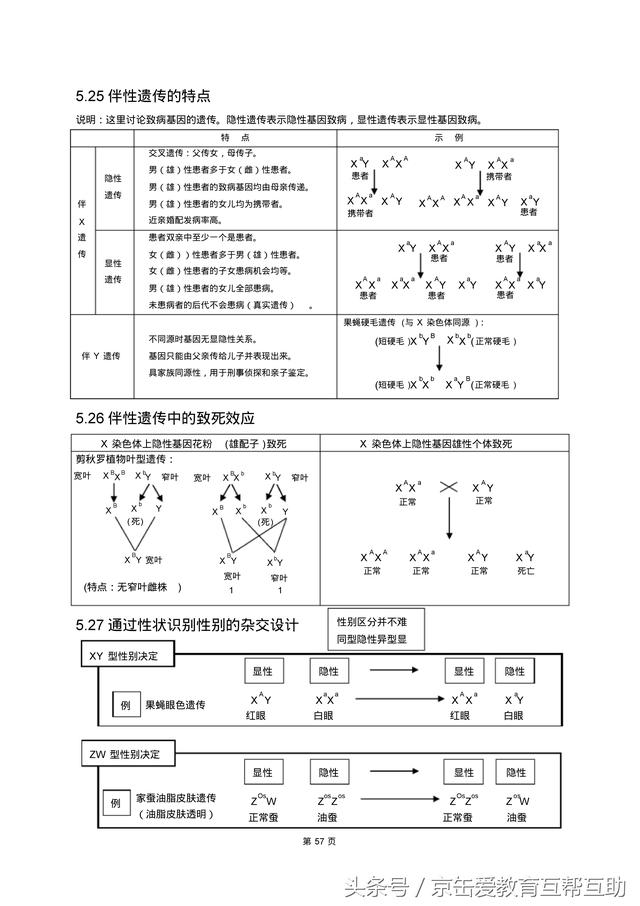 高考生物总复习（宇宙超级无敌全版）