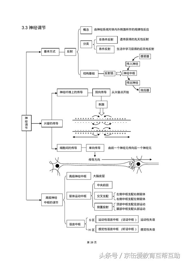 高考生物总复习（宇宙超级无敌全版）