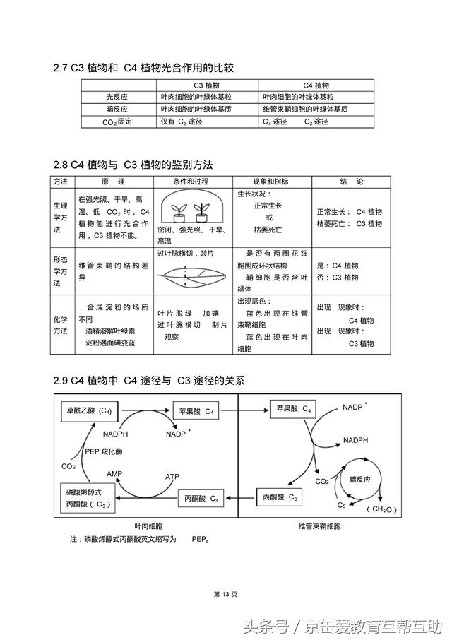 高考生物总复习（宇宙超级无敌全版）