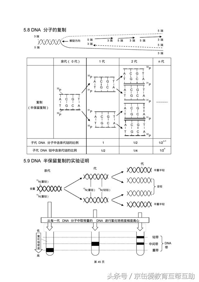 高考生物总复习（宇宙超级无敌全版）