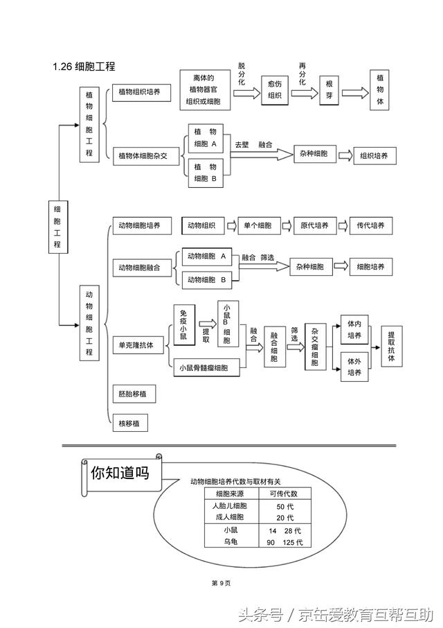 高考生物总复习（宇宙超级无敌全版）