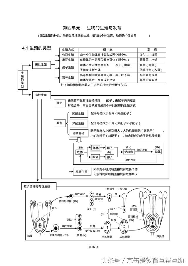 高考生物总复习（宇宙超级无敌全版）