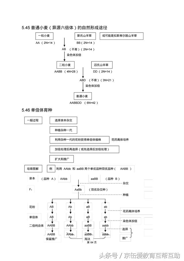 高考生物总复习（宇宙超级无敌全版）