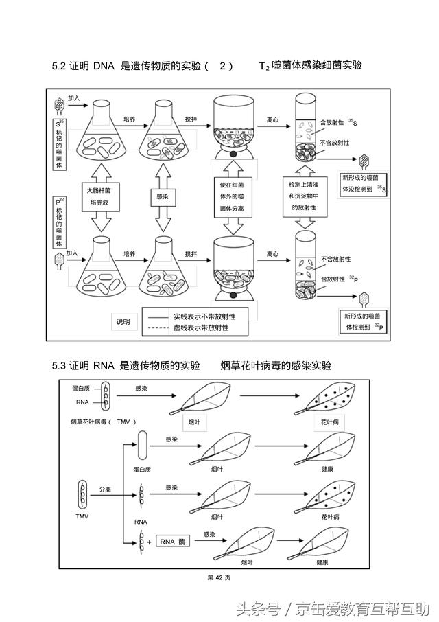 高考生物总复习（宇宙超级无敌全版）