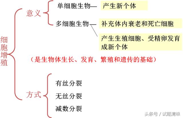 「高考生物」细胞的增殖专题讲座