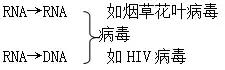 高中生物必修二DNA结构、复制和表达知识梳理