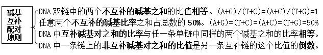 高中生物必修二DNA结构、复制和表达知识梳理